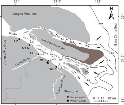 Dynamics of Microbial Community Structure and Ecological Functions in Estuarine Intertidal Sediments